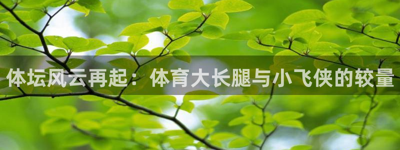 体坛风云再起：体育大长腿与小飞侠的较量