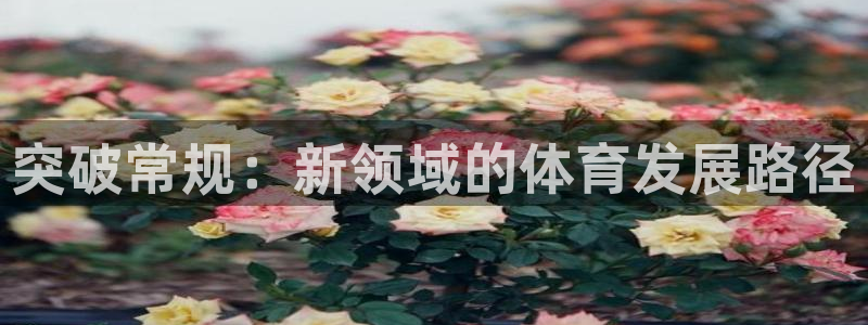 突破常规：新领域的体育发展路径